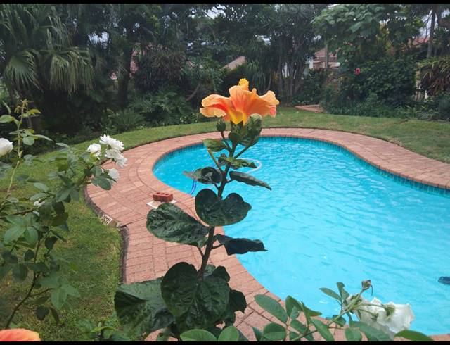 3.5 BEDROOM HOUSE FOR SALE IN BLUFF